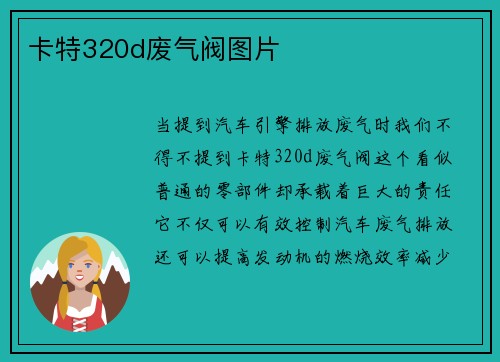 卡特320d废气阀图片